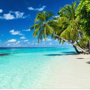 Meet your Posher, Peyton